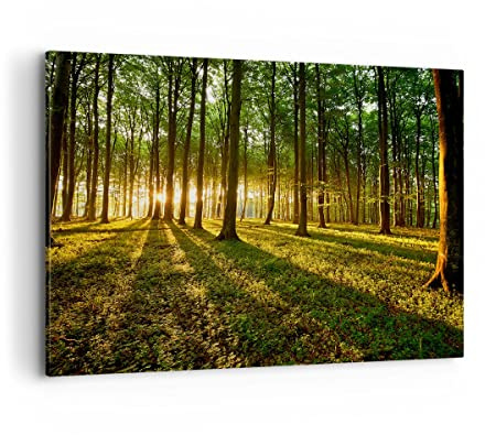 ARTTOR Impression sur Toile Moderne 100x70 cm Botanique Paysages - 2510 | Forêt Vert Soleil Moderne Tableau Décoratif Grand Décoration Murale Art Mural Toile Imprimée Salon Chambre Cuisine ARTTOR