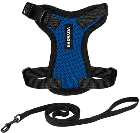 Voyager Step-in Lock Katzengeschirr & reflektierende Katzenleine mit Neoprengriff – für kleine, mittlere & große Katzen – Königsblau/Schwarz, Größe XXXS, 1,5 m