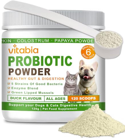 Probiotics For Dogs and Cats Powder - Natural Dog Treats For Gut Health, Itchy Skin Relief, Scooter Gland Treatment For dogs cats With Green Lipped Mussels, Psyllium Husk, Pumpkin, Probiotics Dog