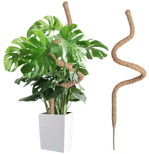 Wigearss Moosstab für Monstera, Kokosfaser Rankhilfe, Pflanzstab Kokos, Pflanzenstütze für Kletterpflanzen, 160cm