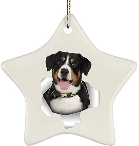 Weihnachten Deko Keramik Hängende Ornamente Mit Schnur Weihnachtsdeko Geschenkanhänger Lustiger Dreifarbiger Entlebucher Sennenhund Kommt Aus Rissiger Wand