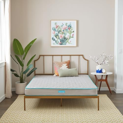 Linenspa 6 Inch Mattress - Firm Feel - Bonnell Spring with Foam Layer - Mattress in a Box - Youth or Kids Bed - Guest Bedroom - Durable and Breathable Support - Affordable - Queen Size