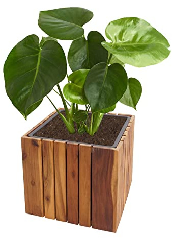 Mendler Pflanzkasten HWC-L24, Pflanzkübel Blumentopf Blumenkasten, eckig 32x32x32cm Outdoor Akazie Holz FSC®-Zertifiziert, braun
