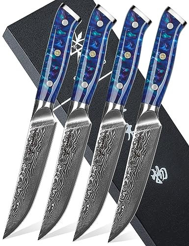 SANMUZUO Steakmesser Set, 4-teilig Damastmesser 13 cm Klinge - Steakbesteck Messerset - VG 10 Damaskus Stahl Küchenmesser mit Harzgriff - Xuan Serie(Saphirblau)