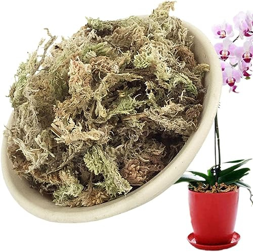 Denxahao Sphagnum Moos für Bonsai Pflanzen Orchideen Phalaenopsis und Terrarium Sphagnummoos Torfmoos Wassermoos Trockenmoos Wasser Gras Substrat Orchideensubstrat Orchideendünger (12L)