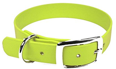 LENNIE BioThane Halsband, Dornschnalle, 25 mm breit, Größe 44-52 cm, Neon-Gelb, Aufdruck möglich