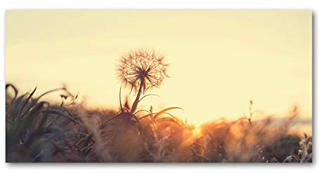 Tulup Leinwandbild - Wandkunst - Drucke auf Leinwand - Leinwanddruck -100x50 cm - Blumen & Pflanzen - Gelb - Pusteblume