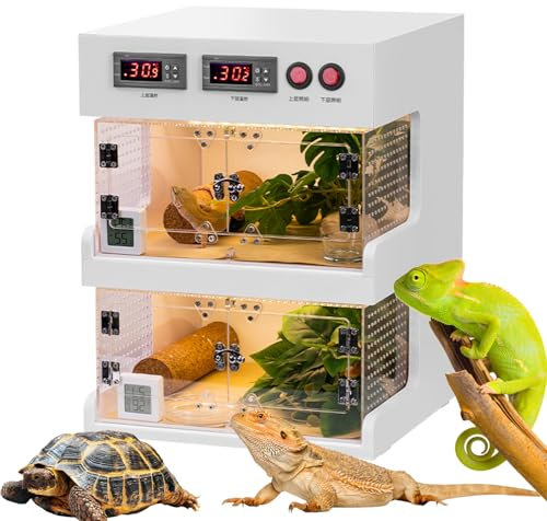 Terrariums Reptiles, Boîte à Thermostat Reptile, Réservoir De Reptile avec Partition Chaude Et Froide, Contrôle à Double Température, avec Boucle De Verrouillage, pour Lézards, Grenouilles à Cornes