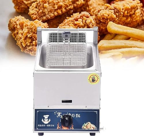 WEIMILOR Freidora eléctrica Comercial, Cesta Doble extraíble de 20 l, freidora eléctrica de Acero Inoxidable para encimera con Control de Tiempo y filtración de Aceite,10L
