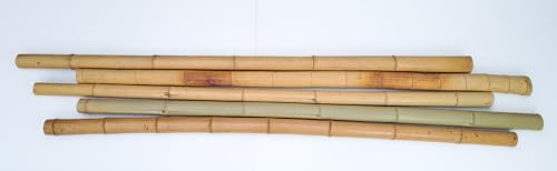 poppe-portal 8 Stk Bambusstangen 6/8cm Durchmesser 200cm Länge