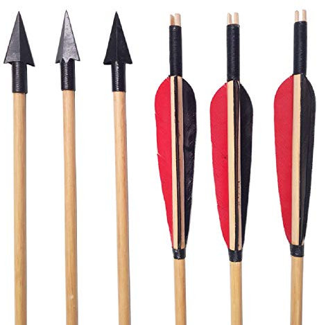 AMEYXGS 12pcs Holzpfeile echte Feder Holzschaft mit Pfeilspitzen für Tranditional Bogen und Recurve Bogen (Rot + Schwarz)