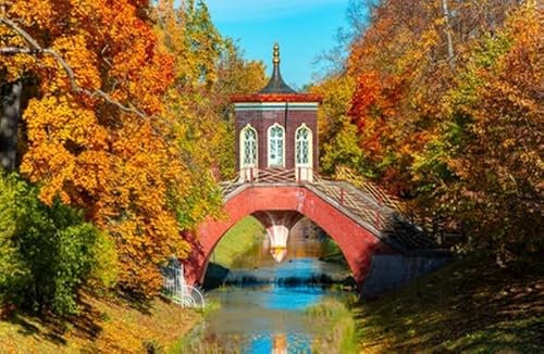 adrium Acryl-Bild 80 x 50 cm: Überqueren Sie die Brücke im goldenen Herbst im Alexanderpark, Zarskoje Selo (Puschkin), Sankt Petersburg, Russland (183320912)