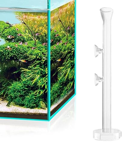 Generisch Garnelen-Futternapf - Kristallklares Glas-Aquarium-Fisch-Garnelen-Futterhaus | Zusammengebaute Garnelen-Futterröhre, Futternapfschale für Garnelenfutter, Garnelentank-Zubehör