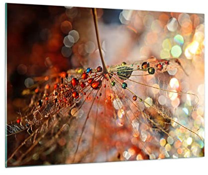 Bilder auf Glas 100x70cm Glasbild Spinnennetz modern Groß Wanddeko Bild im Glas Schlafzimmer Küche Deko Wandbilder Dekoration Wohnzimmer Modern Wall Decor Glasdruck Wand Kunstdruck Art GAA100x70-3774