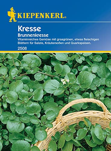 Kiepenkerl 2508 Brunnenkresse, vitaminreiches Gemüse mit grasgrünen etwas fleischigen Blättern für Salate Kräutersoßen und Quarkspeisen