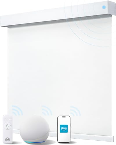 JaeJaes Alexa Smart Blinds for Windows, Blackout Electric Roller Shades with Remote Control, Easy Install Automatic Blinds for Indoor (120W x 183H CM, White)