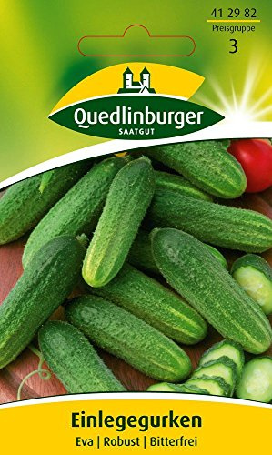 Gurkensamen - Einlegegurke Eva von Quedlinburger Saatgut