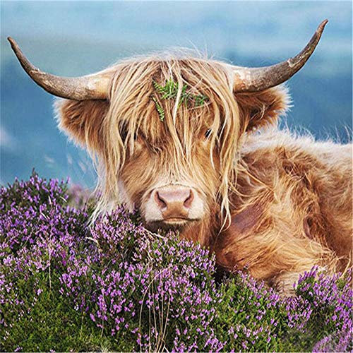Yingxin34 Puzzle 5000 Teile Welpenrätsel, Kuh und Blume，5000 Stück Spiel Puzzles für Erwachsene Kinder, Geschicklichkeitsspiel für die Ganze Familie, Bunte -61.61x41.53 Zoll (156.5 x 105.5cm)