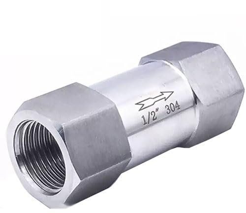 RAMBEX Clapet Anti-Retour en Acier Inoxydable 304, 1 Pièce, G 1/8'' 1/4'' 3/8'' 1/2'' 3/4'' 1'' Femelle, Clapet Anti-Retour Unidirectionnel Haute Pression(3/4)