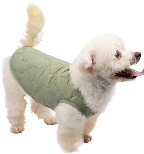 Abrigo de invierno para perro, abrigo térmico resistente al viento para perro, ropa térmica para gatos - para gatitos de razas pequeñas, medianas y grandes, invierno, lluvia, otoño, clima frío