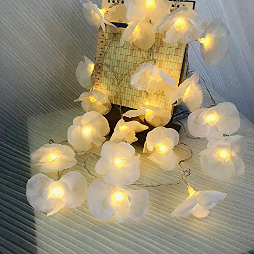 Künstliche Phalaenopsis Blume LED-Lichterkette Schaum Phalaenopsis Girlande Feen-Nachtlichter für die Weihnachtsfeier Home Wedding Beach Decor (Z-Phalaenopsis Weiß, 3m/20LED)