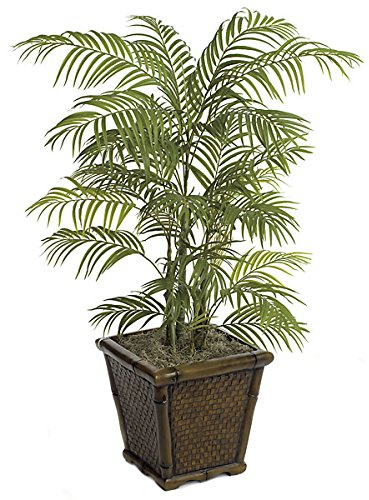Autograph Foliages P-63170 4 ft. Areca Palm, Green