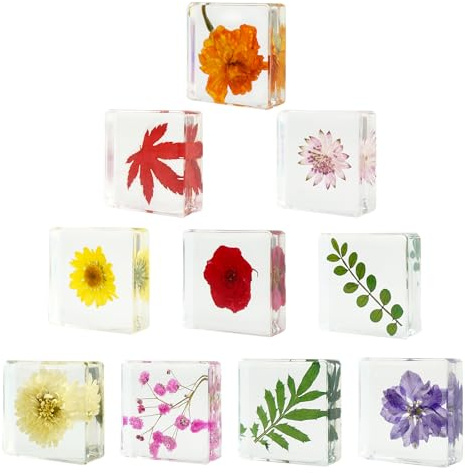 ShioShin 10PCS Dried Flower Paperweight Pressed Flower Paper Weight Real Resin Crafts Decoration Pattern Paper Weights for Women Gifts Outdoor Office Desk Ornaments Christmas
