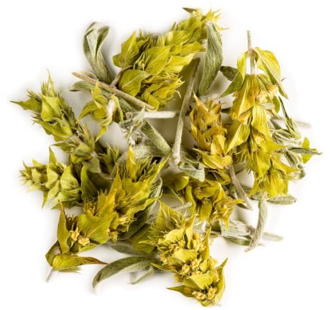 Montagna Greco Infuso Sideritis Scardica - Biologico Infusi Raccolto A Mano - Il Tè Del Pastore Bio - Greek Mountain - 50g | pianta selvatica raccolta in alta quota nota per il suo profumo dolce e balsamico