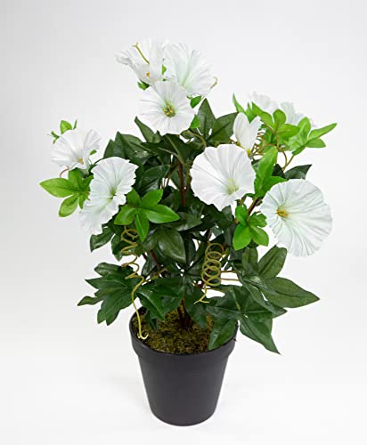 Seidenblumen Roß Petunienbusch 40cm weiß im Topf ZF künstliche Pflanzen künstliche Petunie Kunstblumen Kunstpflanzen