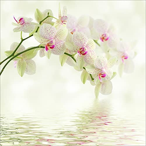 Sticker boites aux Lettres déco orchidée Blanche 30x30cm