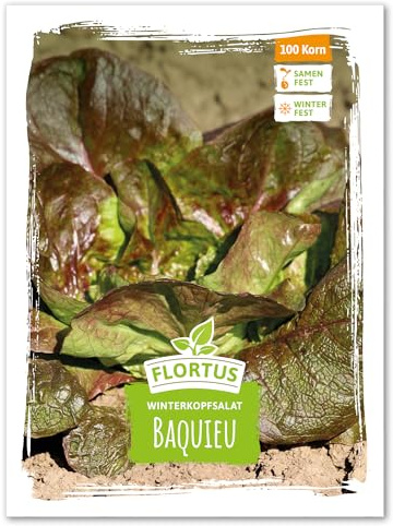 FLORTUS 2000-1051 Winterkopfsalat Baquieu (Kopfsalatsamen)