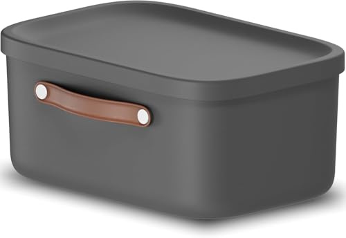 Rotho Maloja Aufbewahrungsbox mit Deckel 2er-Set 12 L stapelbar Anthrazit | Aufbewahrungsboxen im 2er-Set, sicher verschließbar, mit Trageriemen, stapelbar und modular, pflegeleichter Kunststoff