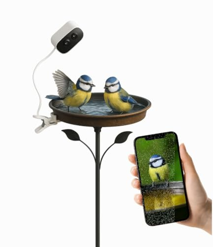 Smart Bird Bath with Camera | AI Bird Recognition & Wildlife Streaming to Phone | Waterproof Garden Feeder with Night Vision, Motion Alerts & Rechargeable Battery | Nature Gift for Birds Lovers