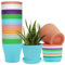 Winter Shore 9.5cm Blumentopf with Untersetzer Bunt [20er-Pack] - 8 Farben mit Ablauflöchern - Wasserdichter & Langlebiger Kunststoff - Blumentöpfe Innen & Blumentöpfe Outdoor für Kräuter & Setzlinge