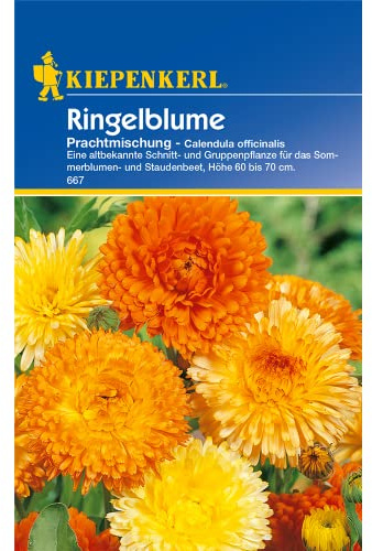 Kiepenkerl Calendula Prachtmischung