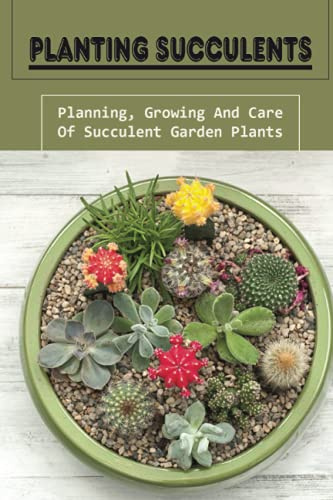 Planting Succulents: Planning, Growing And Care Of Succulent Garden Plants: Budding Succulent
