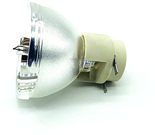 KBREE Compatibile con la Lampadina del proiettore SP-LAMP-073 per Adattarsi Accessori di Ricambio Compatibile con InFocus IN5312 IN5314 IN5318