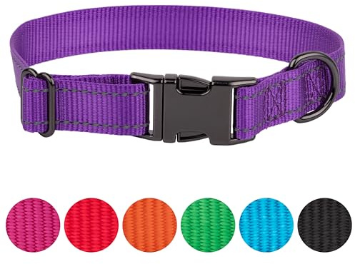 FAVPET Reflektierendes Hundehalsband Nylon, Reflektor Hund Halsband Verstellbar, Halsband Hund Klickverschluss für Grosse und Kleine Hunde, Welpen Halsbänder (Lila, XS)