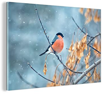 MuchoWow Glasbild Glasfoto Wandbild Bilder Deko 150x100 cm Schnee - Vogel - Tier