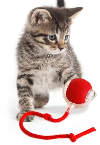 KQLHLHDYZ Interaktiv kattleksak, boll, elektriska automatiska leksaker för inomhuskatter, 3 lägen, oregelbundna rörelser, för vuxna katter, alla golv och mattor tillgängliga