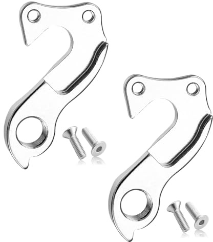 QZKJQDD 2 Stück Legierung Schaltauge, Metall Schaltwerkhaken, Robustes Ersatzteil mit 2 Befestigungsschrauben, Einfache Installation, Silber
