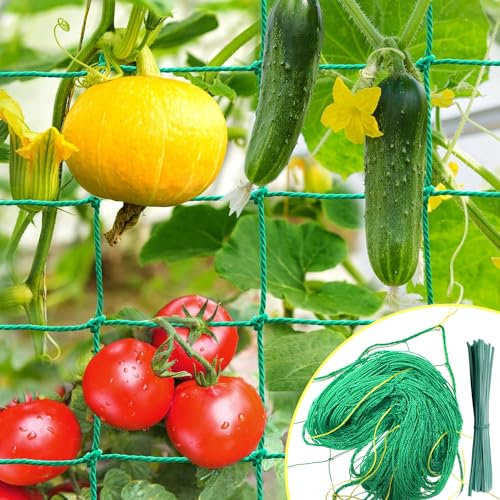 IKSAMY Rete per Piante Rampicanti 2x3m con Maglia Larga, Rete per Cetrioli - Rete per Piante Rampicanti, Supporto Ideale per Cetrioli, Pomodori, Giardini, Accessori per Serre