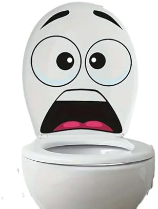 3D Surprised Face Toilet Decal,DIY Sticker Drôle Wc Autocollant Couvercle de Toilette Drôle,Stickers Abattant Wc,Pour Wc Amovibles Autocollant,Autocollants auto-adhésifs pour siège de toilette (1)