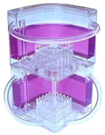 Ant Farms Ant Castle Habitat Farm Ideas Nest Watch Ants Dig Their Own House Tunnels Science Experiment Kit(Purple)