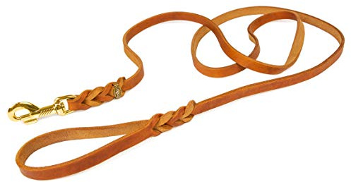 Hundeleine Leder 3m kleine Hunde leicht Fettlederleine [mit Handschlaufe] Lederleine geflochten – robuste Leine Hund mit Messingbeschlägen – Führleine Hund & Freihandleine zum Umhängen, Cognac 8mm