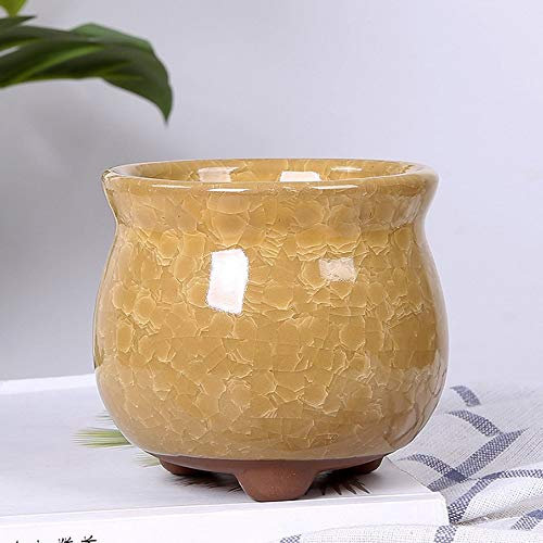 Sukkulente Blumentopf Eis geknackt Keramik Pflanzer Bunte Offene Keramik Garten Trompete dekorative Pflanze Topf Kreatives Büro Desktop Kombination grüne Pflanze Pots