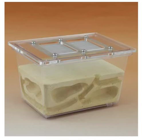 Ameisennest Ameisenfarm Ameisenhaus Ameisennestfarm Ökologisches Haustier-Ameisennest Dreidimensionale Ameisenvilla Kleines Vierseitiges Ameisenfarm-Zuchtnest Ameisen Terrarium Ameisen Zucht Box