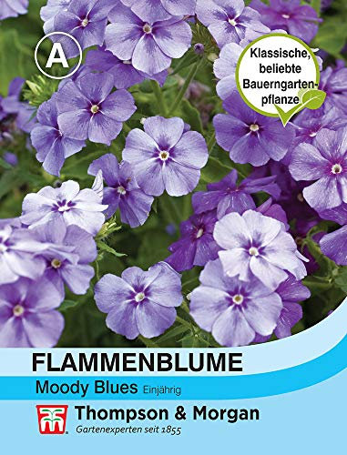 Thompson & Morgan AGT09105 Flammenblume Moody Blues (Flammenblumensamen)