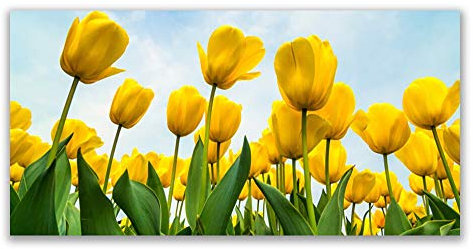Tulup Acrylic Glass Print 120x60cm Wall Art - Wall Picture Plastic Acrylic Glass - Tulips Floral