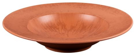 TABLE PASSION - Assiette à pâtes Onyx 27 cm Terracotta (lot de 6)